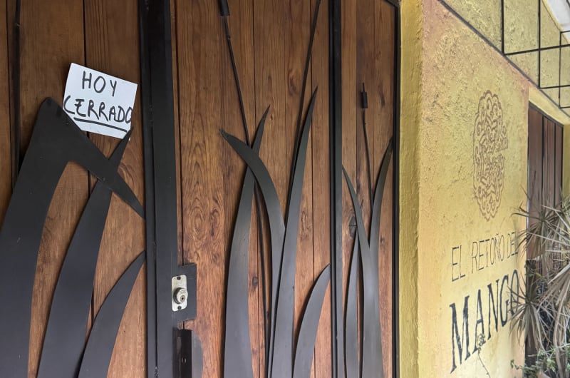 EL RETOÑO DEL MANGO — photo 2