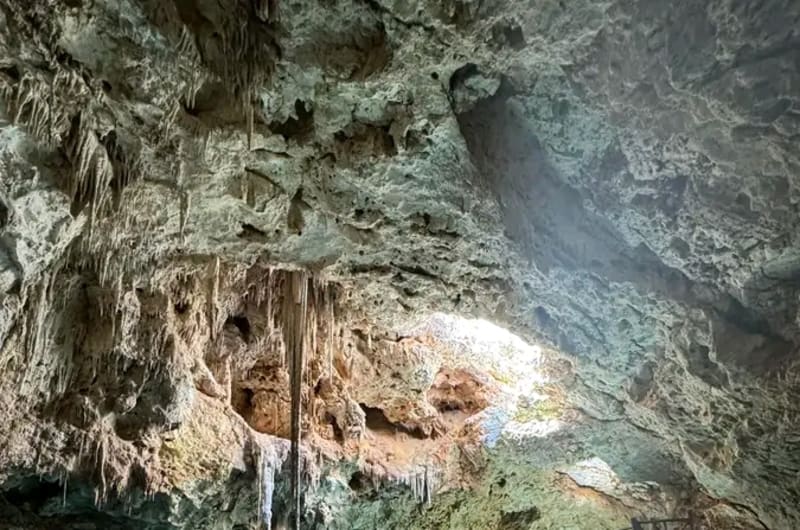 Cenotes de homun Yucatan. — photo 1