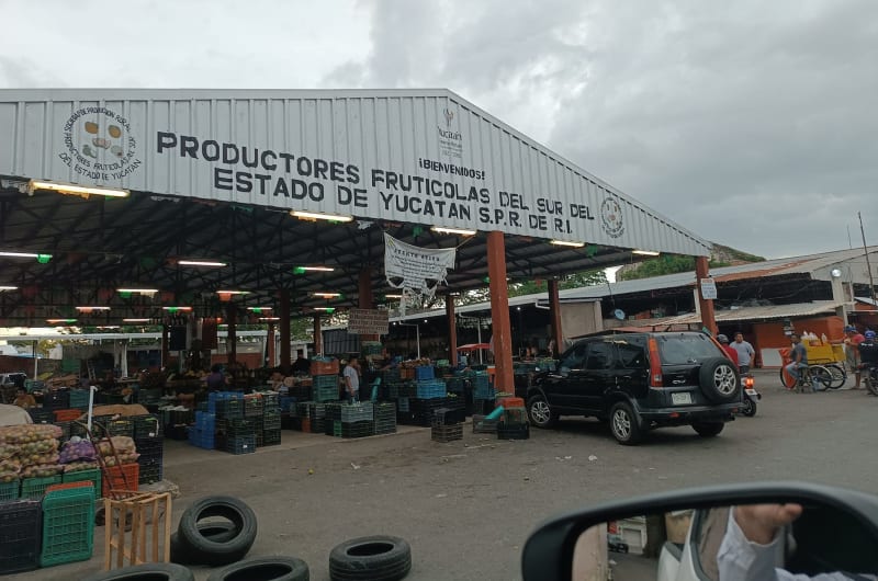 Victor Cervera Pacheco TIangus — photo 1