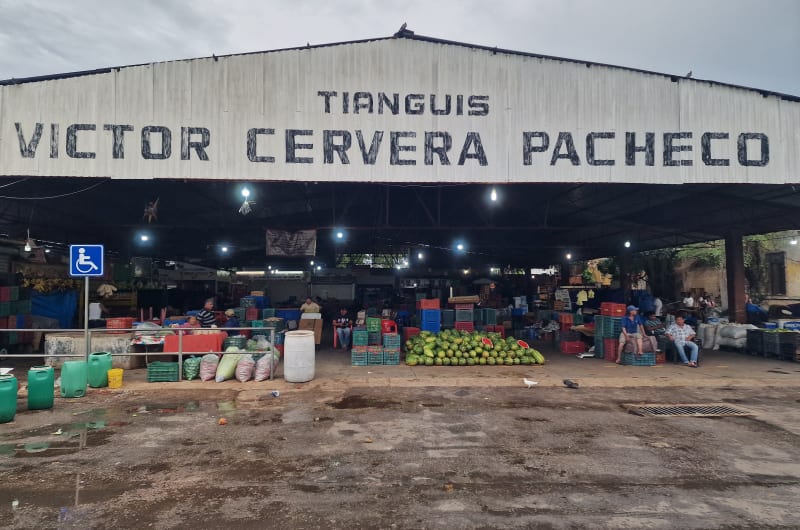 Victor Cervera Pacheco TIangus — photo 3