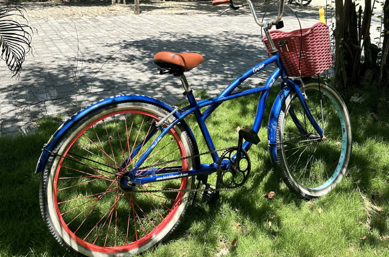 Lobas Bike Tulum — photo 1
