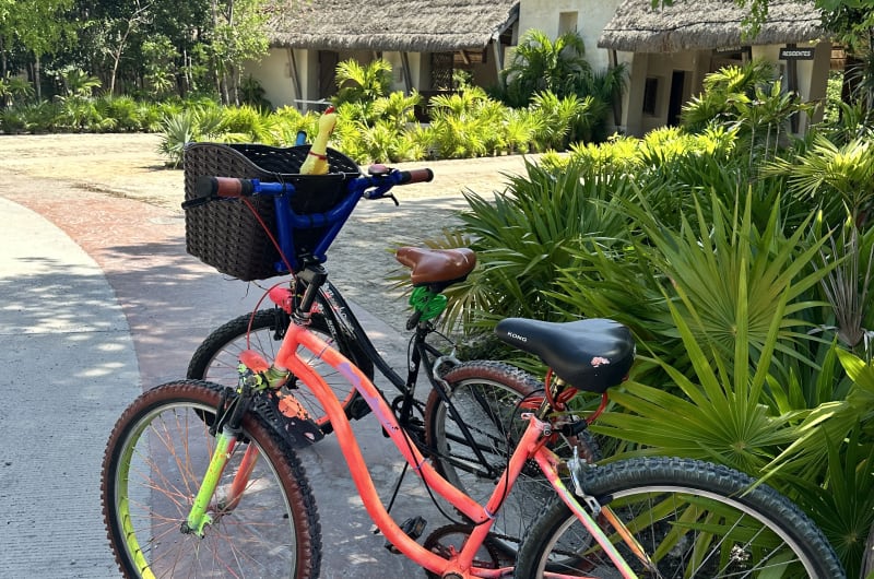 Lobas Bike Tulum — photo 2