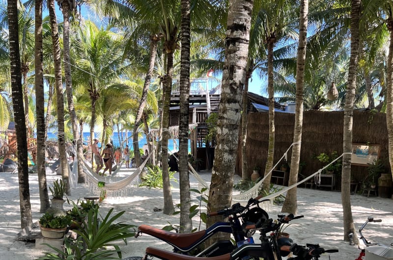 Freewheel Tulum - bikes & boards — photo 2