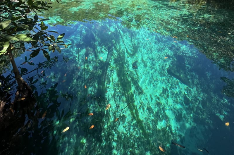 DIVETULUM — photo 2