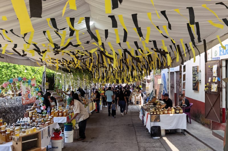 San Andrés de la Cal — photo 2
