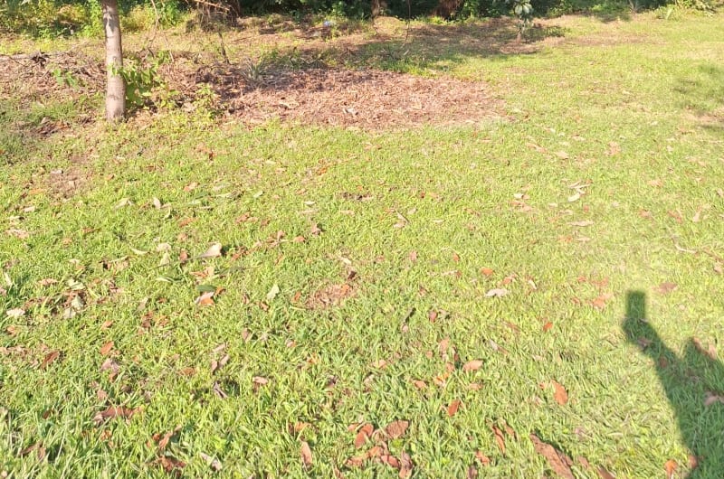 Temazcal Ocotitlan — photo 2