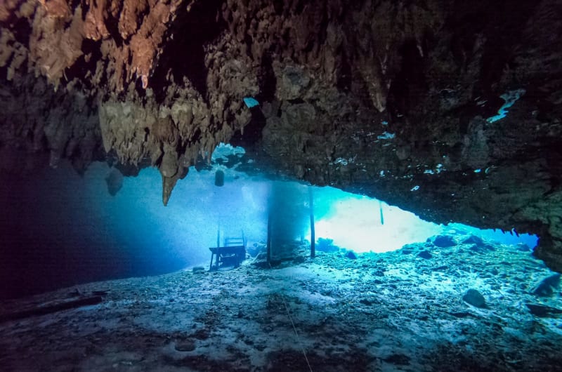 Zen Diving — photo 1