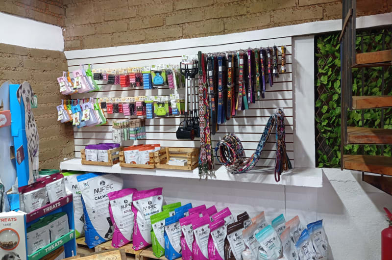 Dogs & Beyond Estética Canina PROfesional — photo 2
