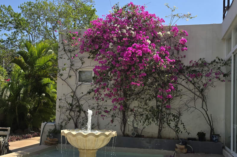 Casa Xcanatun — photo 2