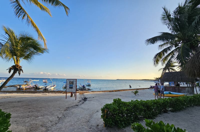 Akumal Dive Shop — photo 2