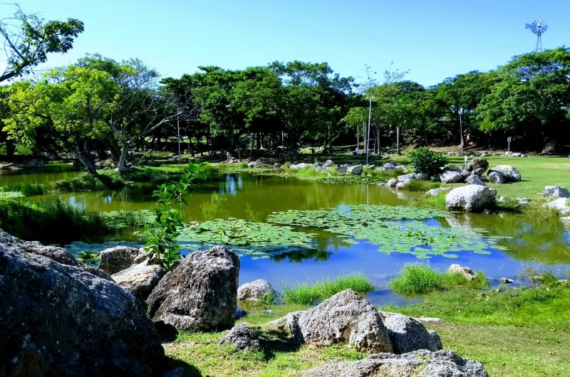 Poniente Ecological Park — photo 2