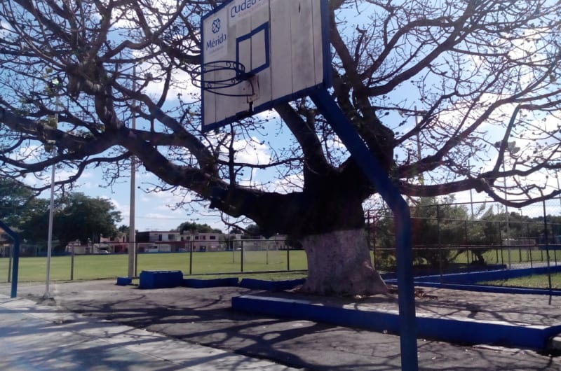 UNIDAD DEPORTIVA "EX-RASTRO" — photo 3