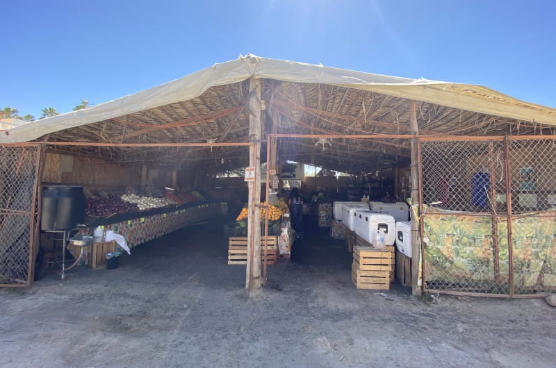 San Ignacio Vegetable Market — photo 3