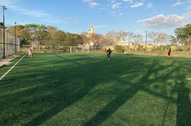 Cancha Multidisciplinaria de pasto sintético 7, PARQUE DE DEPORTES EXTREMOS — photo 1