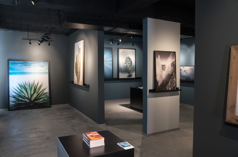 Baja California Gallery — photo 2
