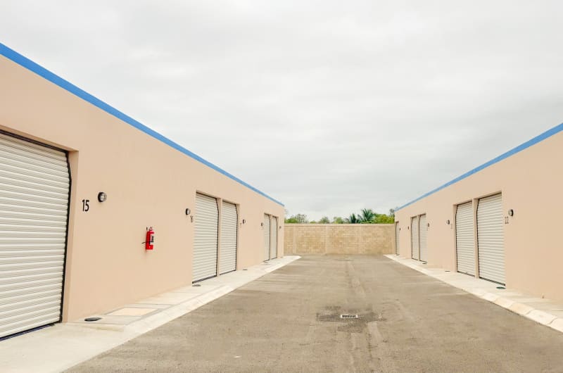 Toronto Storage — photo 3