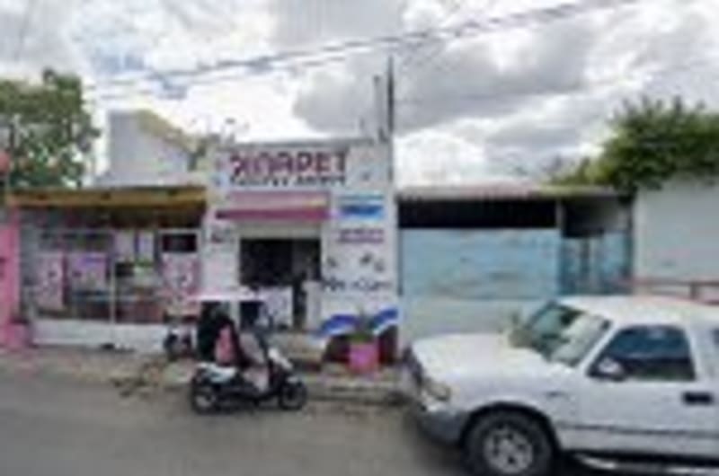 Alimentos Y Accesorios Para Mascotas Mejores Amigos — photo 1