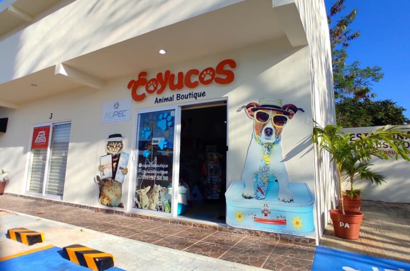 Coyucos Boutique Sucursal 1 — photo 2