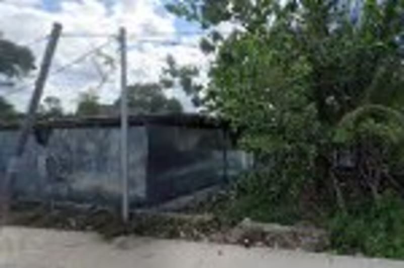 Flores y Ramos exprés Tulum — photo 1