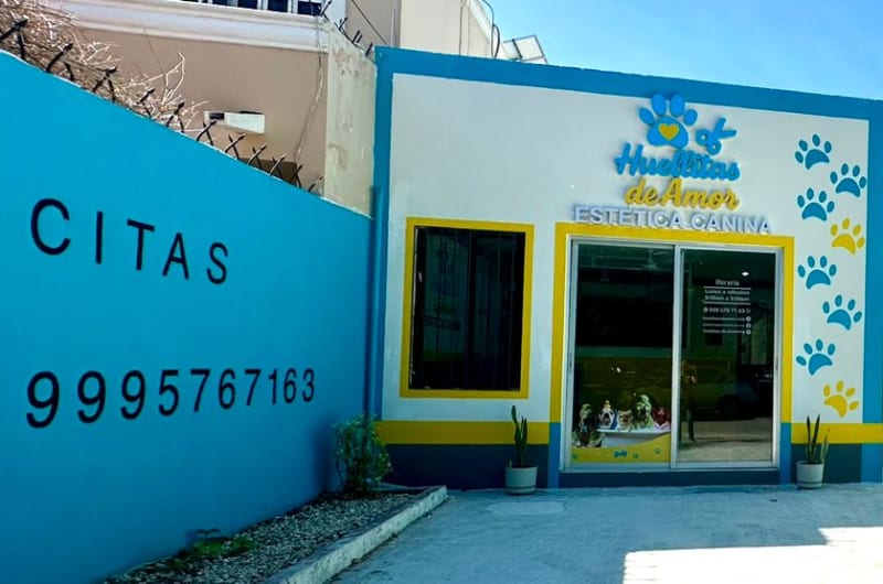 Huellitas de Amor Estética Canina — photo 2