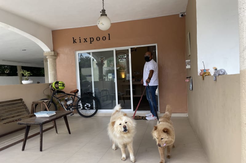 Kixpool Estética & Spa Canino — photo 2