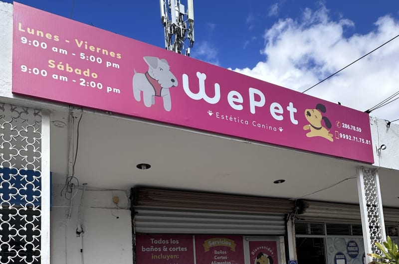WePet Pet Groomers — photo 1