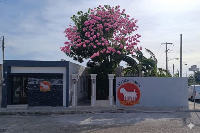 PERRUCAN Estética Canina y SPA — photo 3