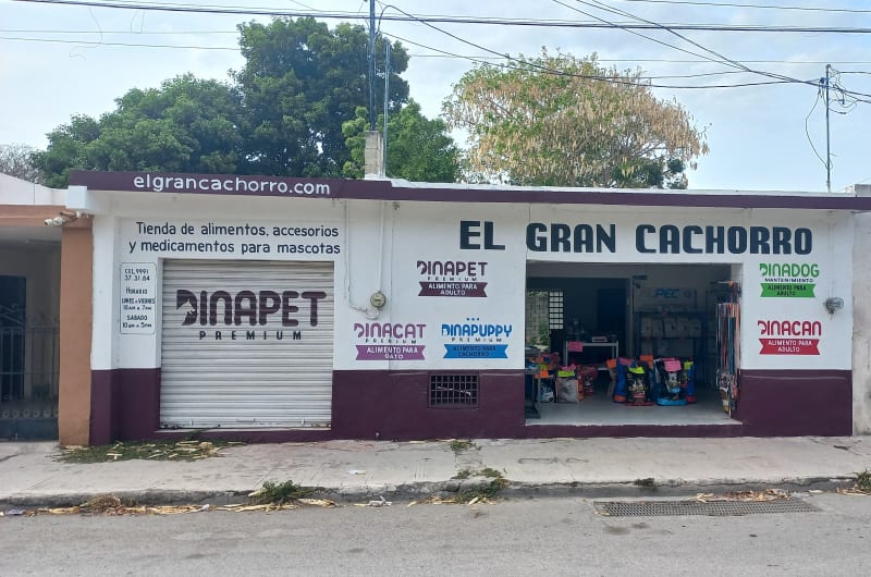 El Gran Cachorro — photo 3