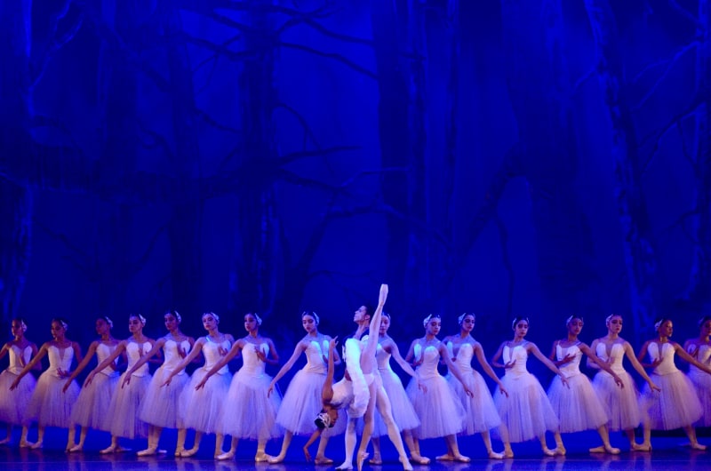 DAR Danza de Alto Rendimiento — photo 1