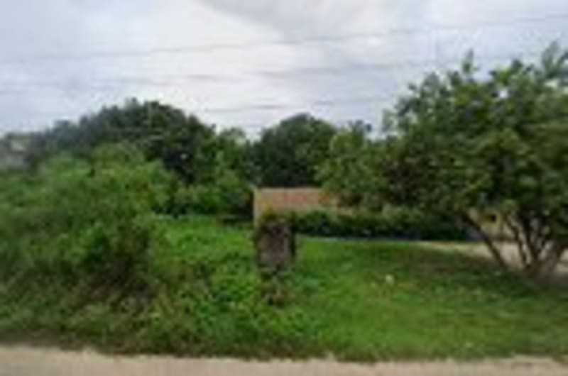 Mystique Place On The Jungle — photo 1