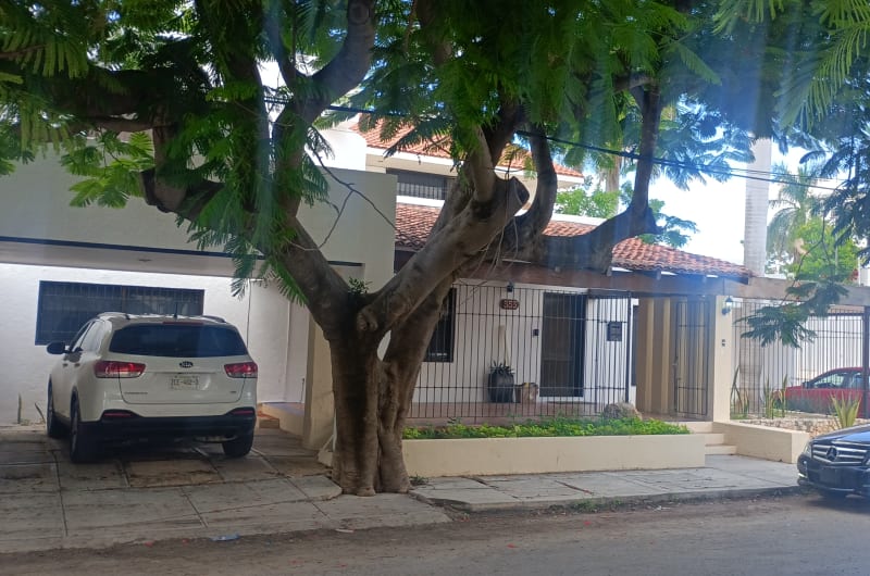 Vive SEGUROS — photo 1