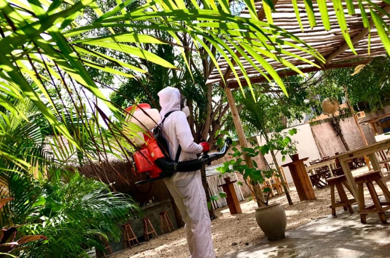Intercep Tulum — photo 2