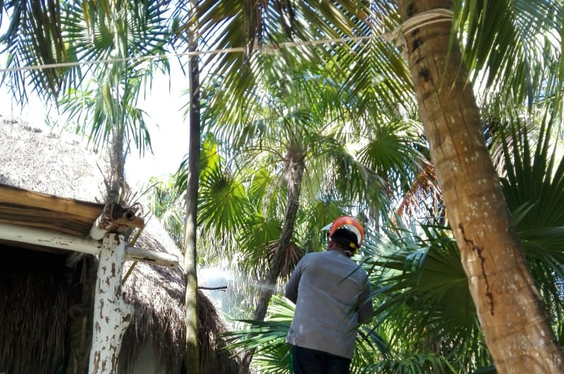 Saneambiental Peninsular — photo 1