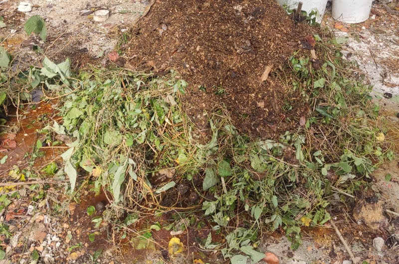 Bring your compost — photo 1