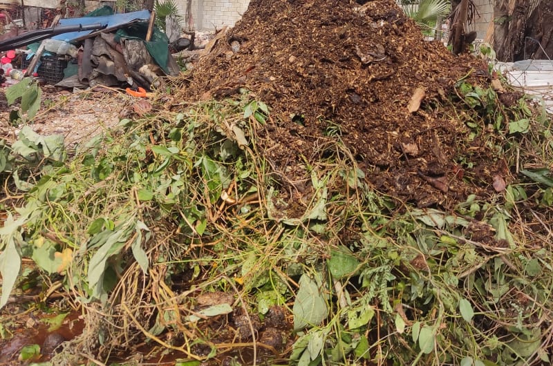 Bring your compost — photo 3