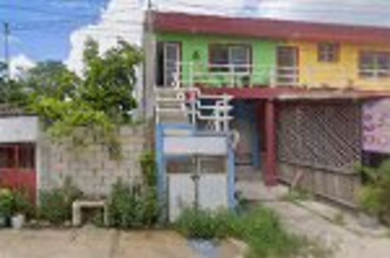 Plantas interior y exterior — photo 3