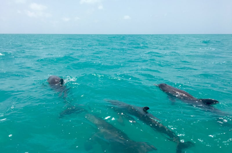 Tours Riviera Maya — photo 2
