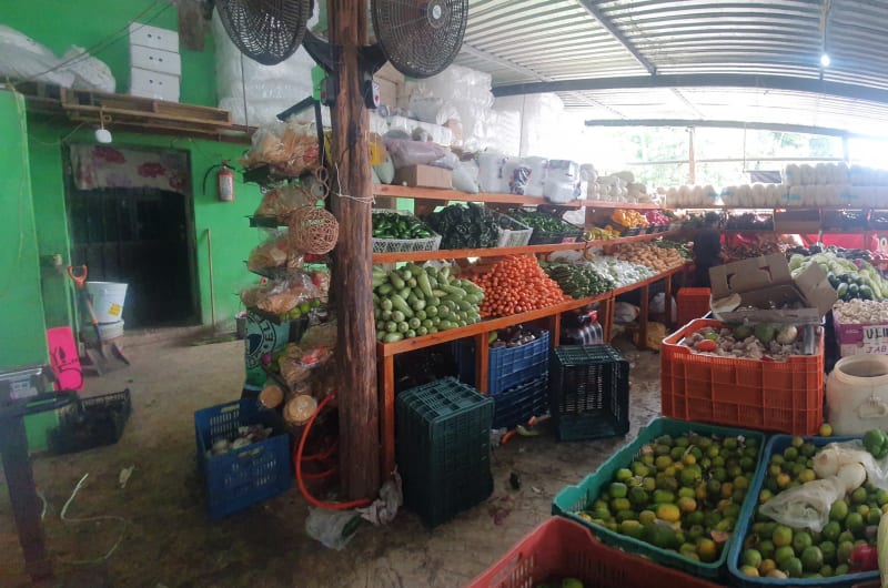 Fruit Stand — photo 3