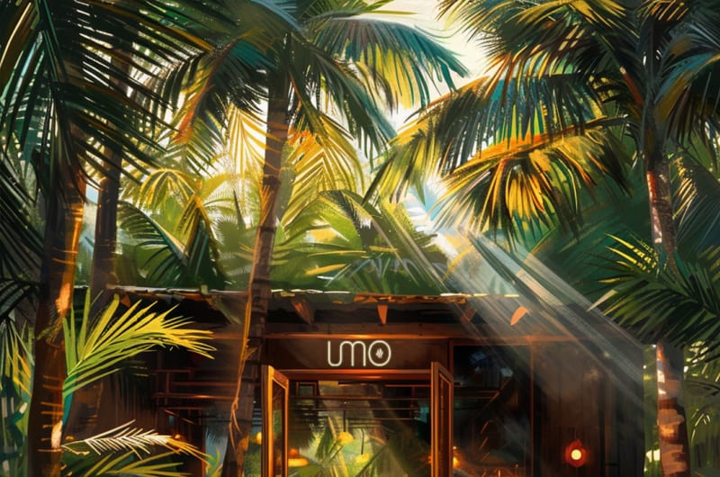 Umo Smoke Shop / Aldea Zama — photo 2