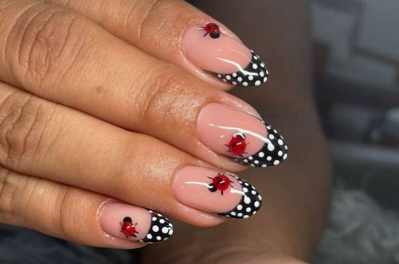 Ha Nails | Manicure, Pedicure & Uñas Acrílicas en Centro, Mérida | Salón de Pestañas — photo 1