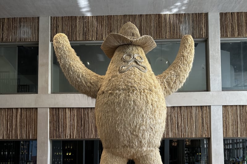 Big Charro — photo 1