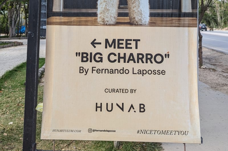 Big Charro — photo 2