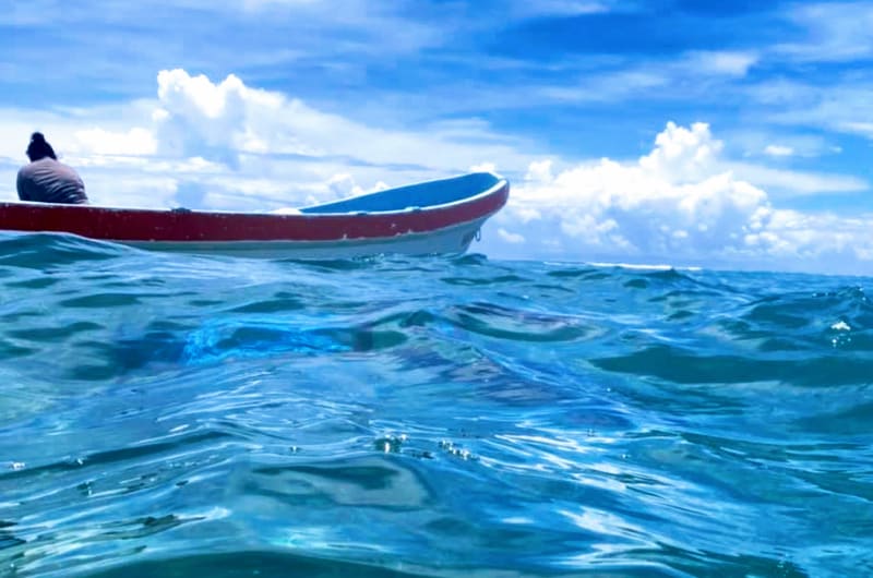 Sian Kaan & Punta Allen: Fly Fishing, Ecotours, Local Food and More — photo 1