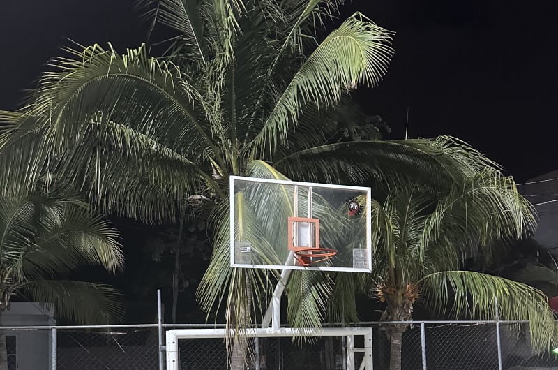 Sport Court — photo 2