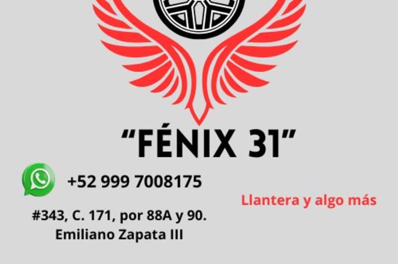 Llantera y vulcanizadora Fénix 31 — photo 3