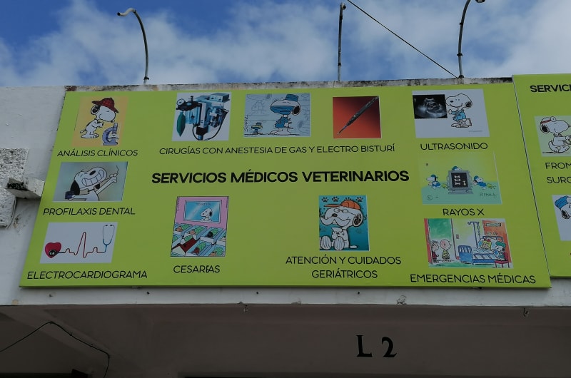 SERVICIOS MEDICOS VETERINARIOS — photo 2