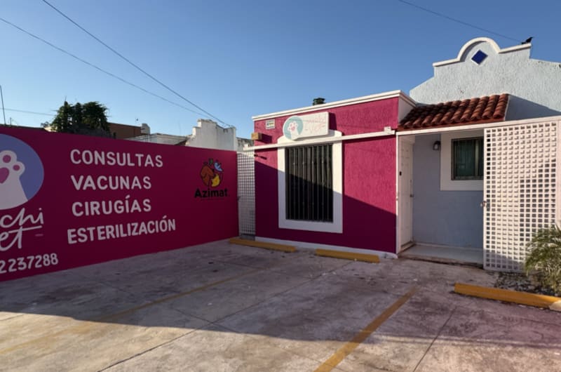 Michi Vet — photo 1