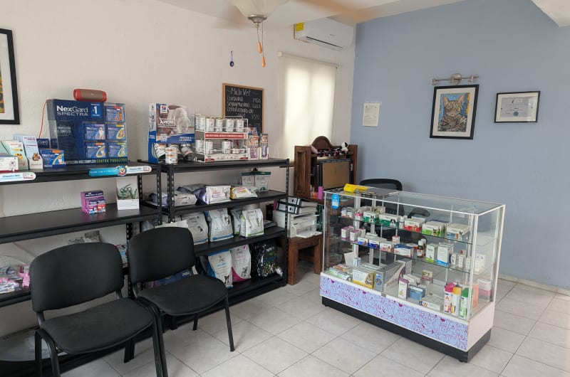 Michi Vet — photo 3