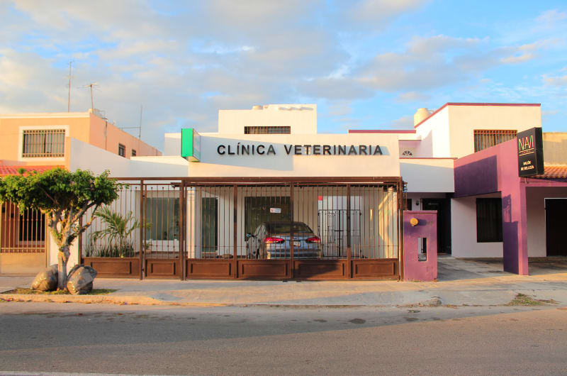 Clínica Veterinaria Palomo — photo 3