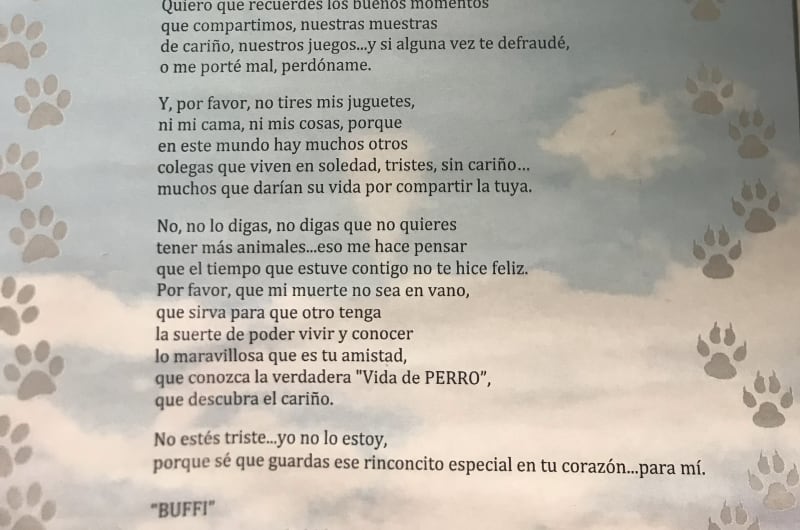 SmartBit Norte — photo 3